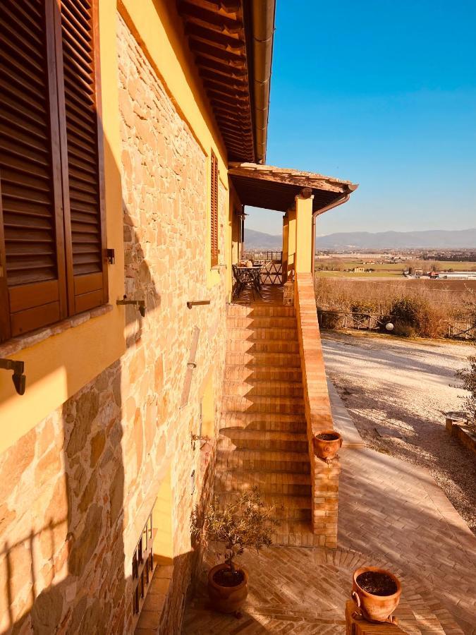 Agriturismo Il Divin Casale Torgiano Bagian luar foto