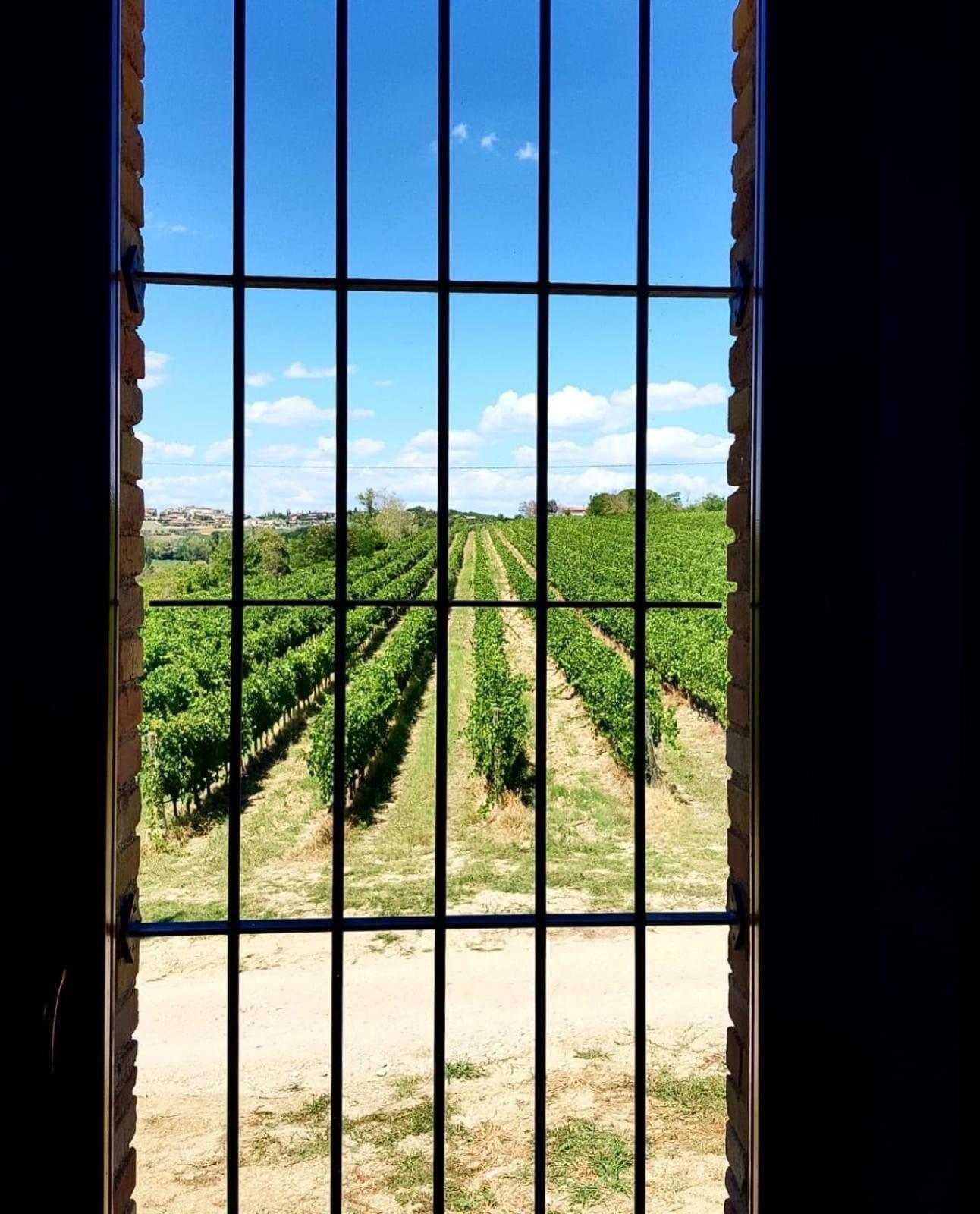 Agriturismo Il Divin Casale Torgiano Bagian luar foto