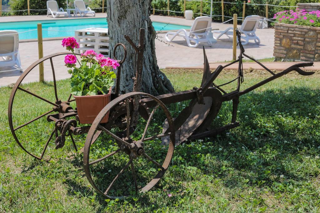 Agriturismo Il Divin Casale Torgiano Bagian luar foto