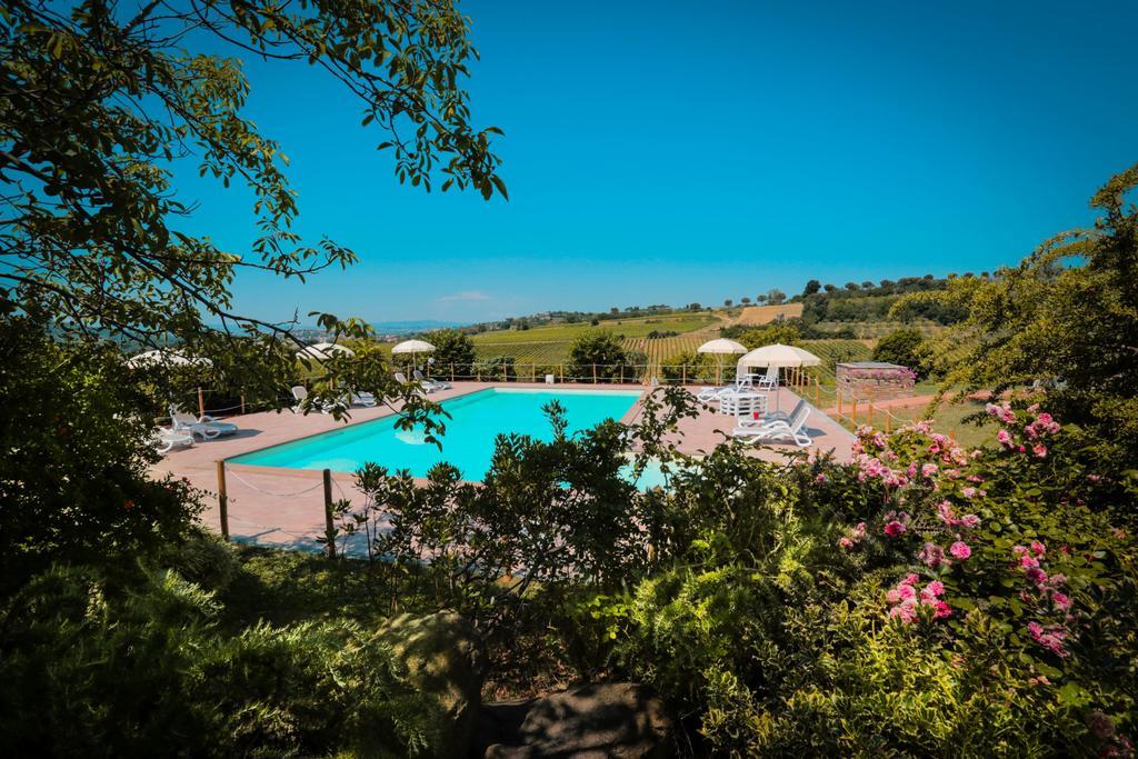 Agriturismo Il Divin Casale Torgiano Bagian luar foto